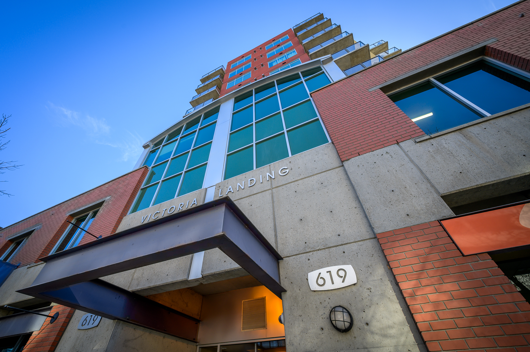 [your image description]